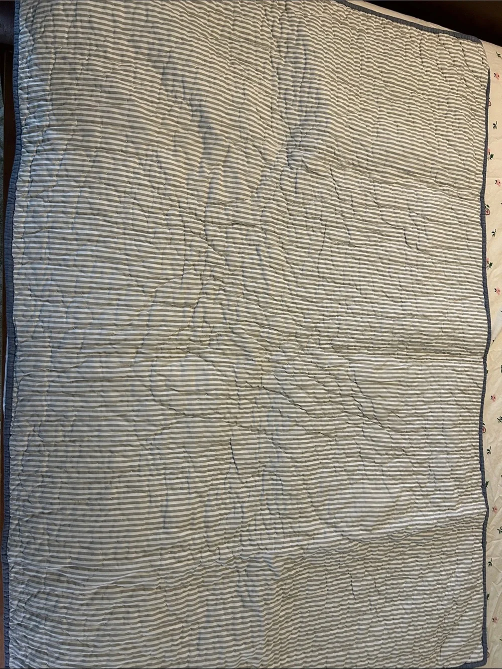Skeleton Dinosaur Toddler Quilt